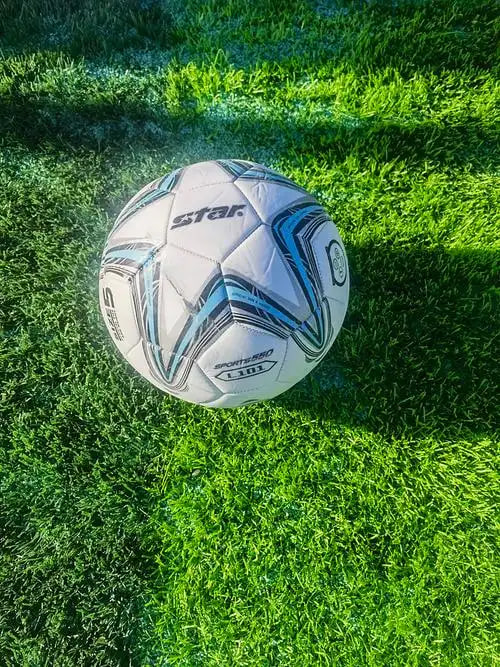 足彩预测数据可视化界面